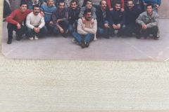 Metris-C.evi_