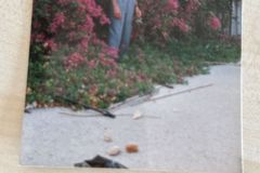 Yunanistan—-Lavriyondayimyil1990-2