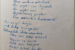 Bayi-Cagri-7