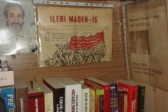 Ileri-Madenisin