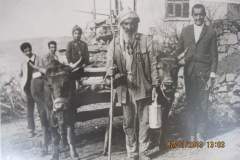 Koyde-tarlaya-giderken-Dedem-Cicimali-babam-Sukru-kardeslerim-Hasan-Abit-Elmas-firdes-bunlarda-bizim-ffedaker-okuzler
