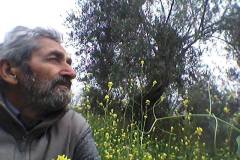 Yorulunca-tabiata-sigin